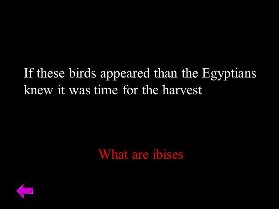 If these birds appeared than the Egyptians knew it was time for the harvest What are ibises