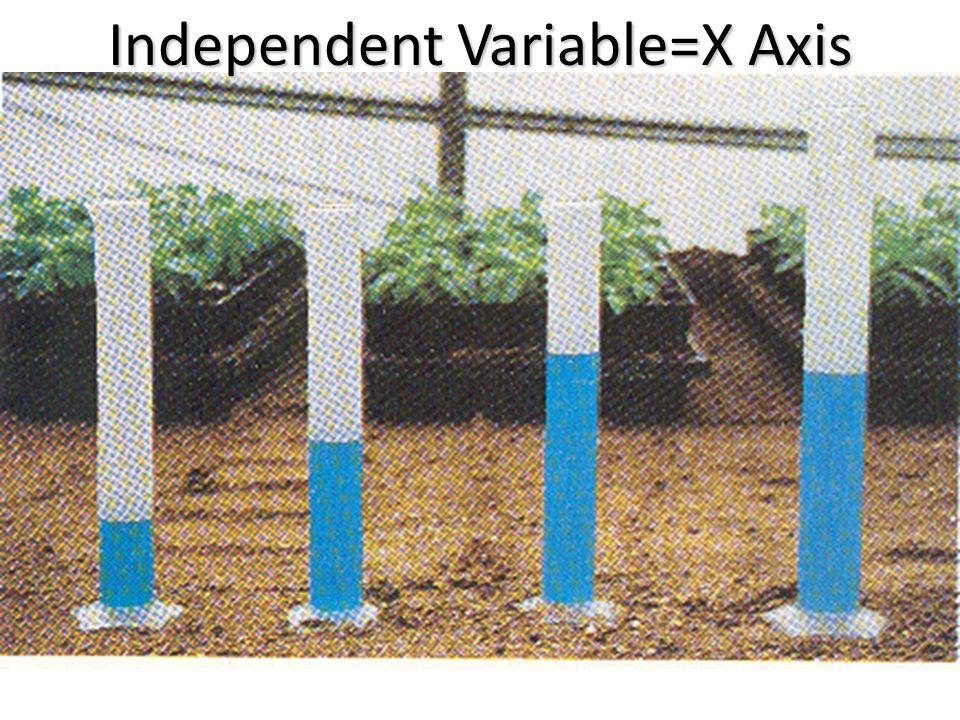Independent Variable=X Axis