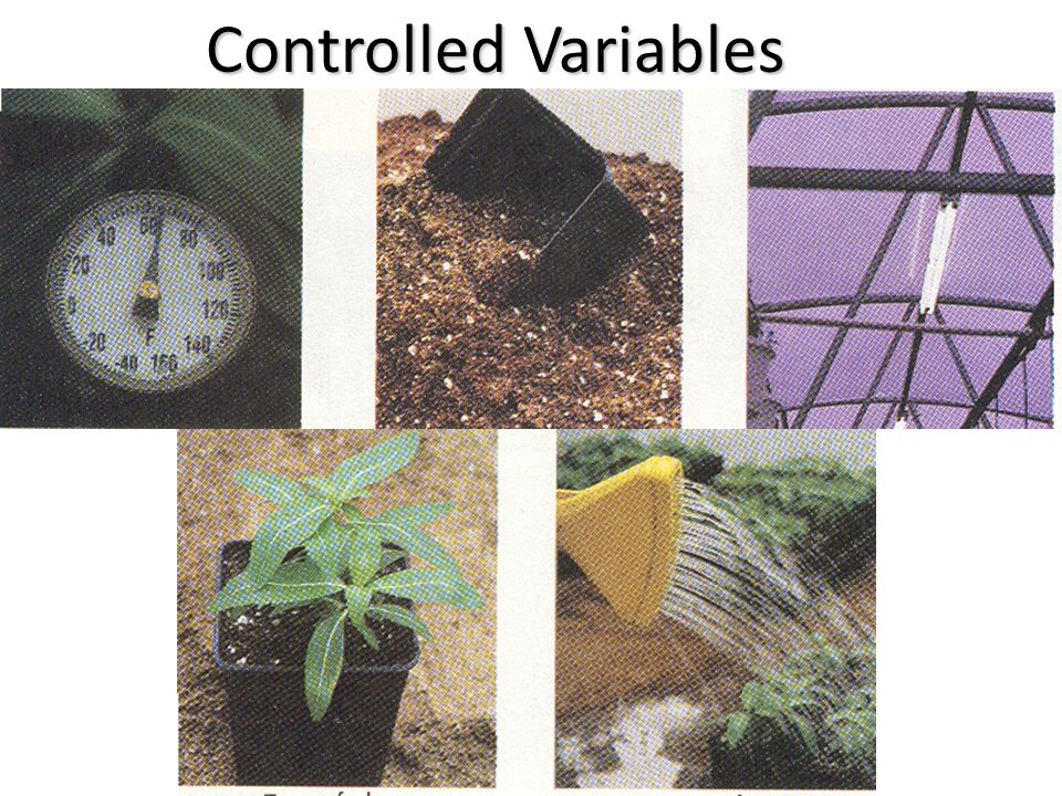 Controlled Variables