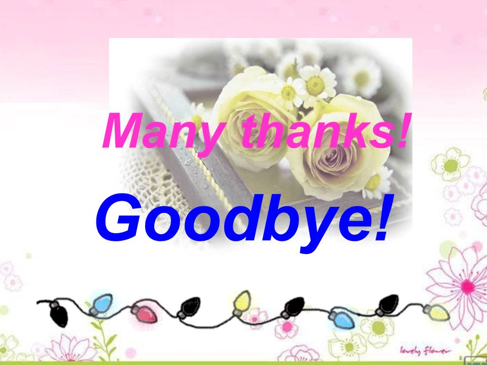 Goodbye! Many thanks!