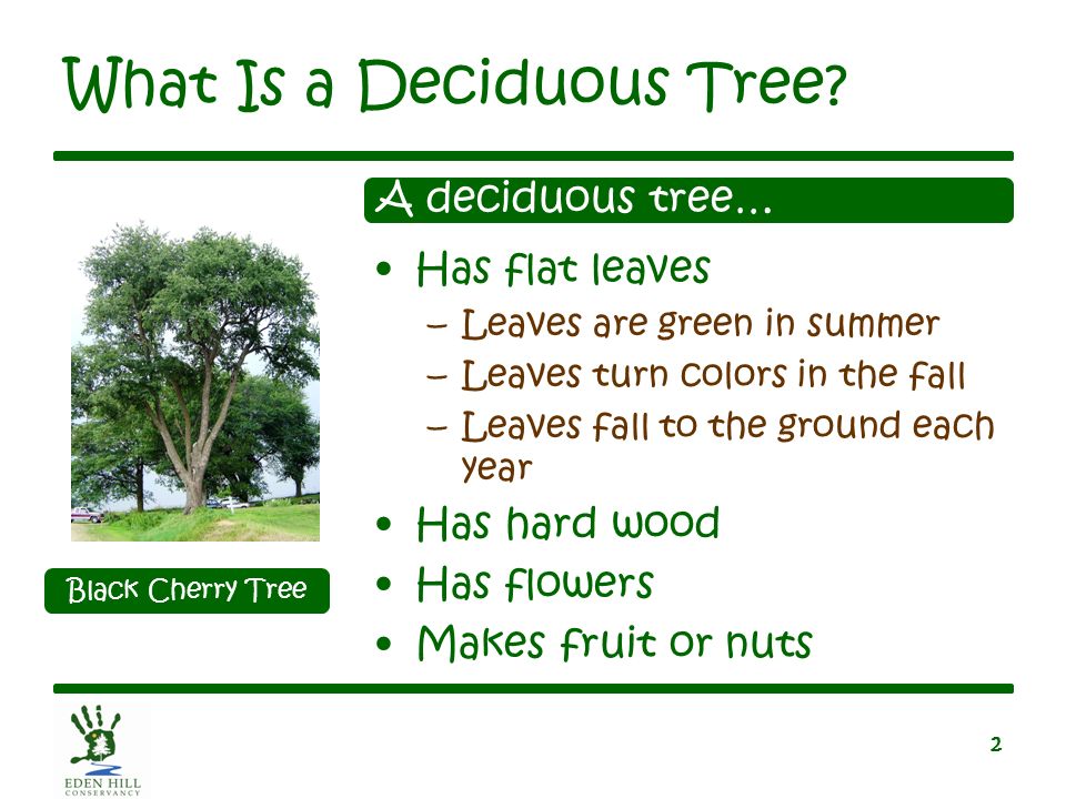 Дефиниција за листопадни овошни дрвја