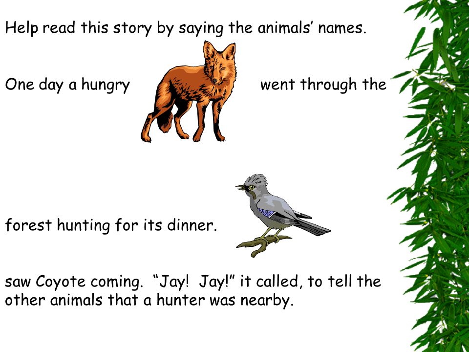 Food Chains How energy is passed! Some animals eat only plants. They eat  grass, leaves, tree bark, fruit, nuts, seeds, and parts of flowers. Say the.  - ppt download