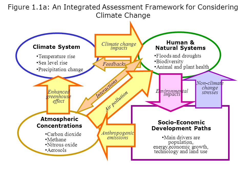impact of climate change on economic development markets affected by climate change