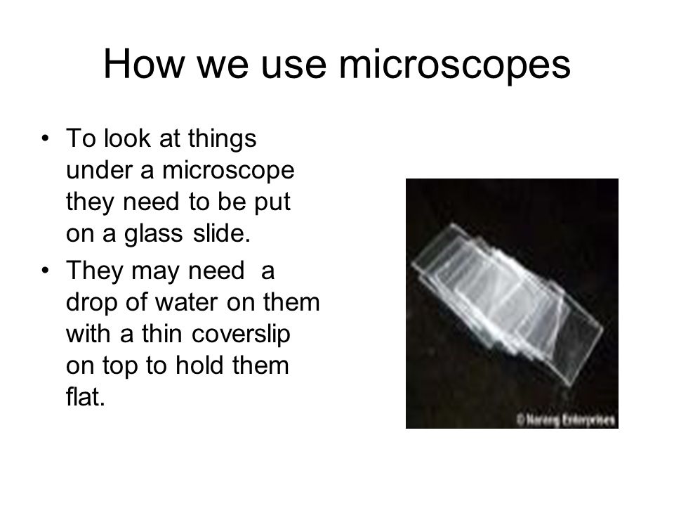 Microscopic World. What do they do? Write the functions of Lenses Coarse &  fine focus Mirror Rotating nose piece. - ppt download