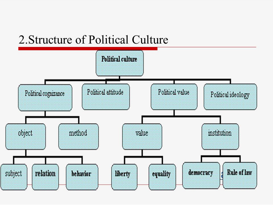 structure of political institution