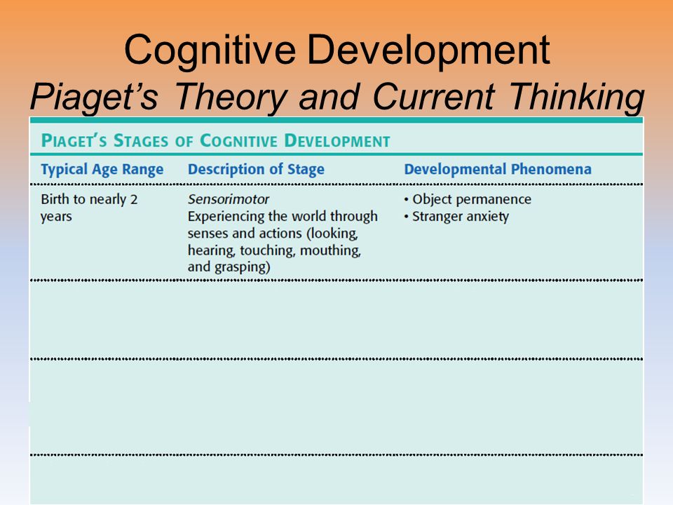 piaget's stages of cognitive development worksheet