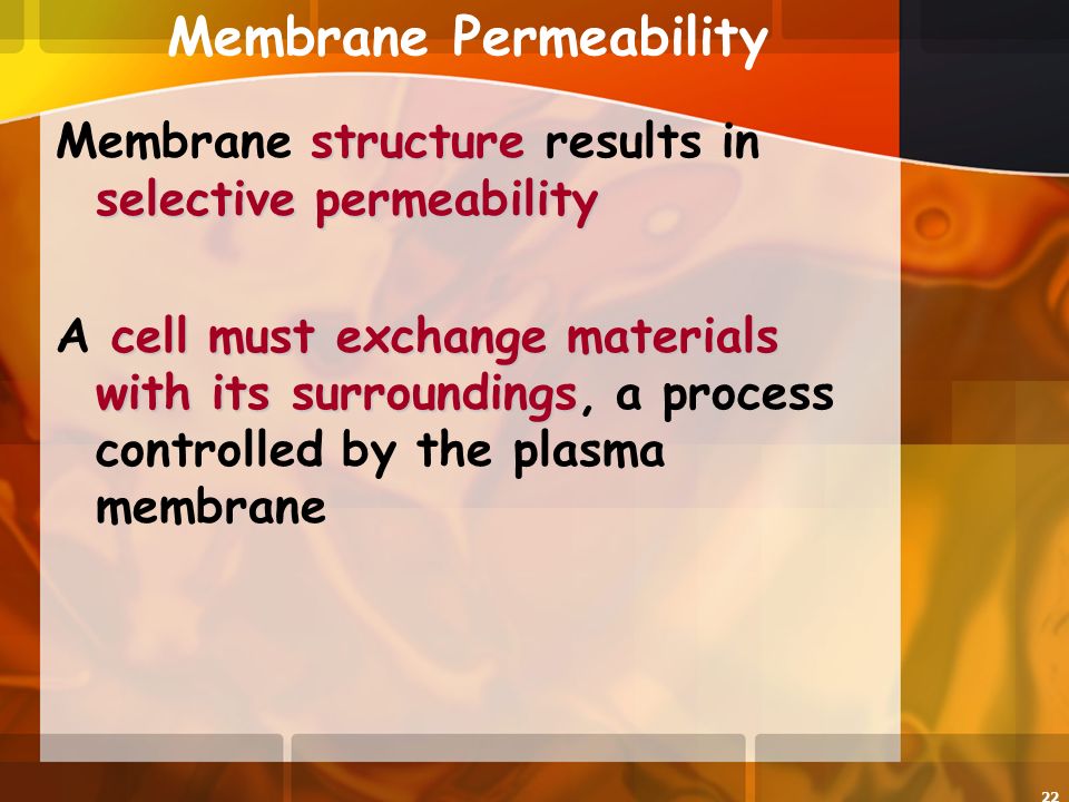 22 Membrane Permeability structure selective permeability Membrane structure results in selective permeability cell must exchange materials with its surroundings A cell must exchange materials with its surroundings, a process controlled by the plasma membrane