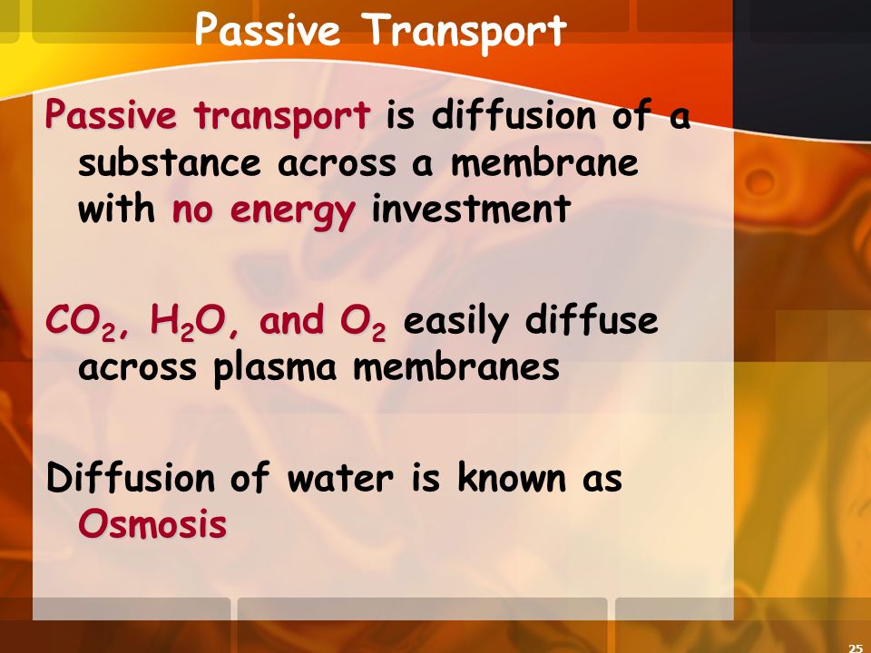 25 Passive Transport Passive transport no energy Passive transport is diffusion of a substance across a membrane with no energy investment CO 2, H 2 O, and O 2 CO 2, H 2 O, and O 2 easily diffuse across plasma membranes Osmosis Diffusion of water is known as Osmosis