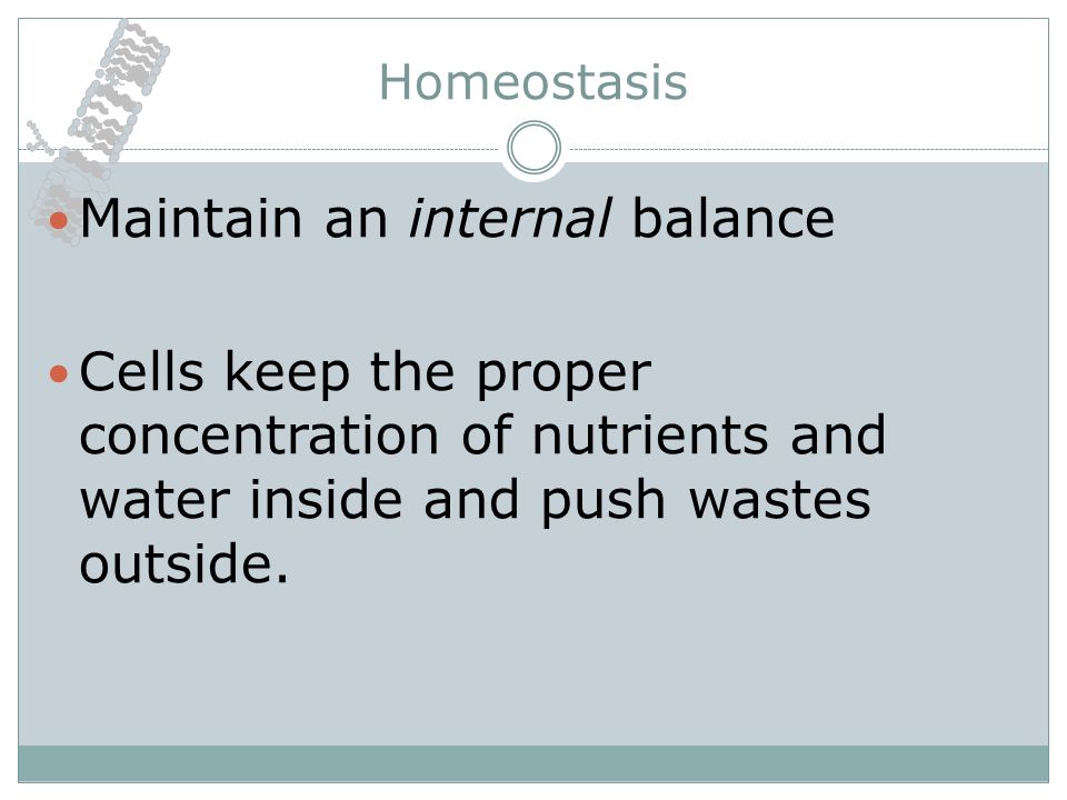 The Cell Membrane and Homeostasis