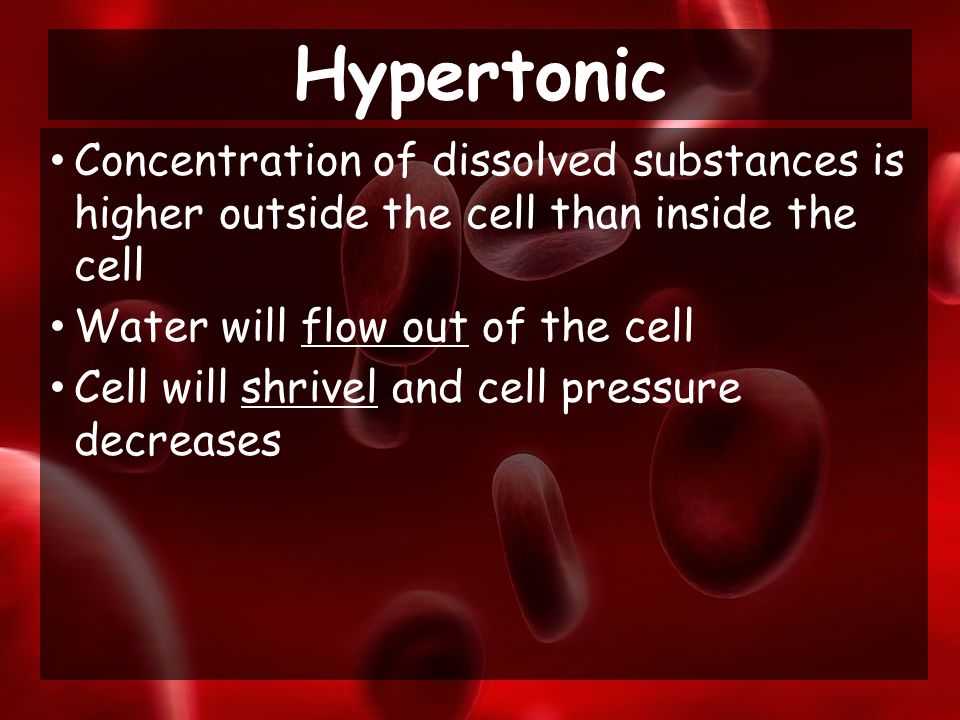 Concentration of dissolved substances is higher outside the cell than inside the cell Water will flow out of the cell Cell will shrivel and cell pressure decreases Hypertonic