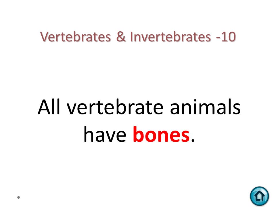 Vertebrates & Invertebrates Life CyclesInsects ppt download