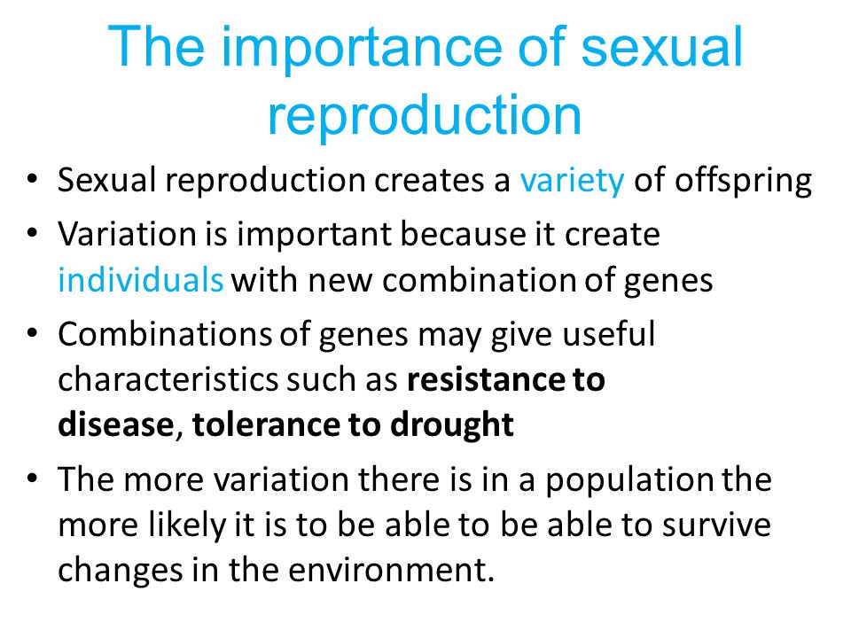Why is sexual reproduction important pic 86