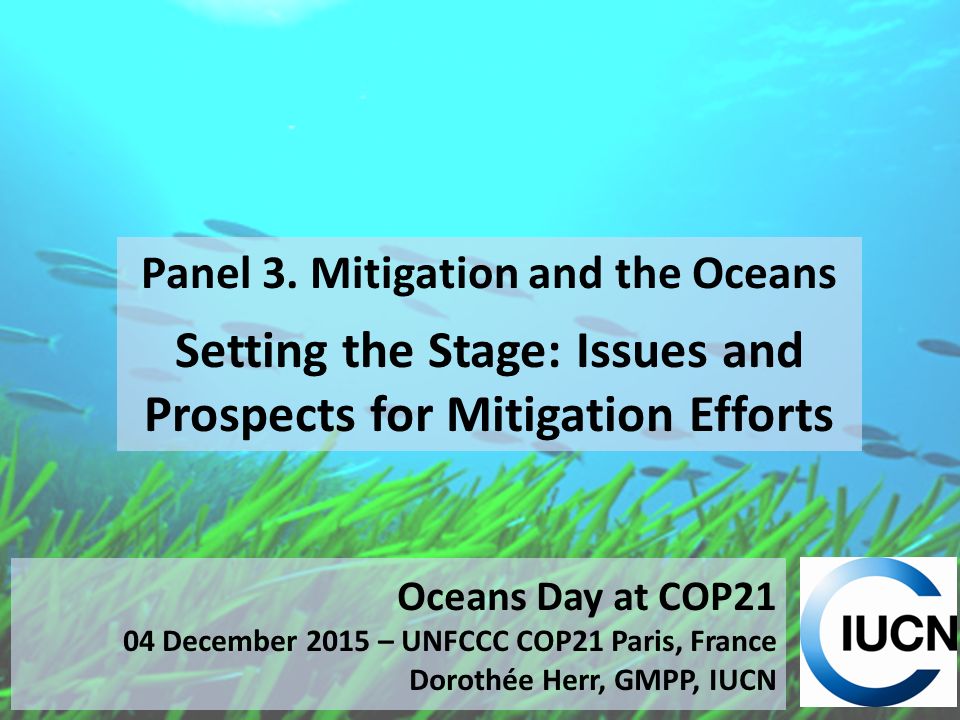Oceans Day at COP21 04 December 2015 – UNFCCC COP21 Paris, France Dorothée Herr, GMPP, IUCN Panel 3.