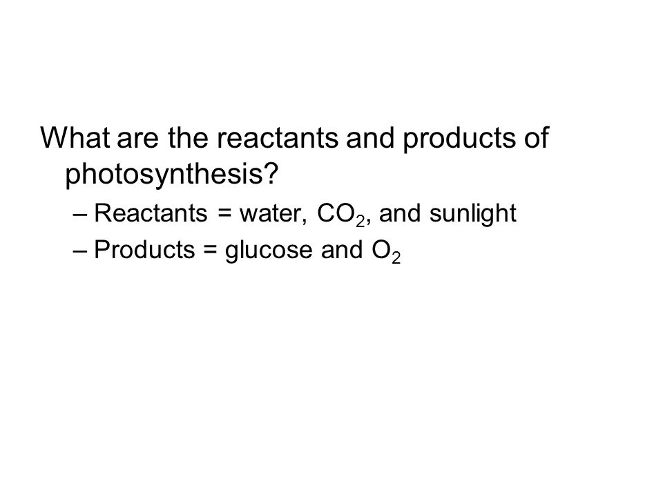What are the reactants and products of photosynthesis.