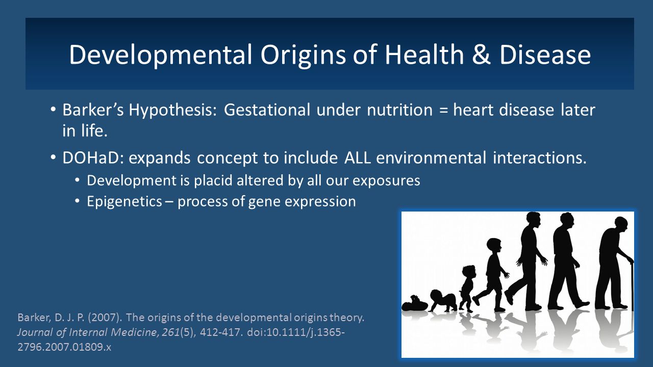 Epigenetics Maternal Adiposity Creating a Cycle of Obesity Tonya