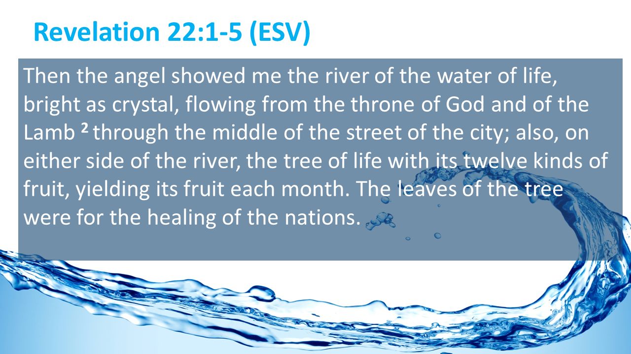 Rivers of believe. Rivers of Living Water flowing out of my Heart!.