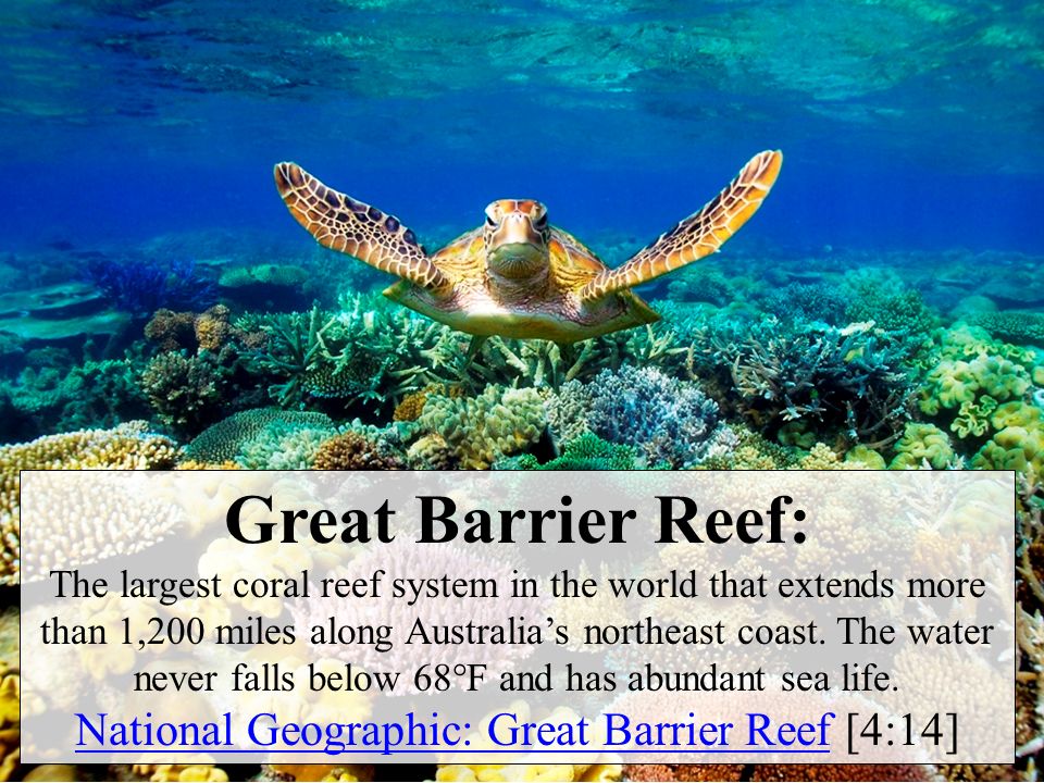 Great Barrier Reef: The largest coral reef system in the world that extends more than 1,200 miles along Australia’s northeast coast.