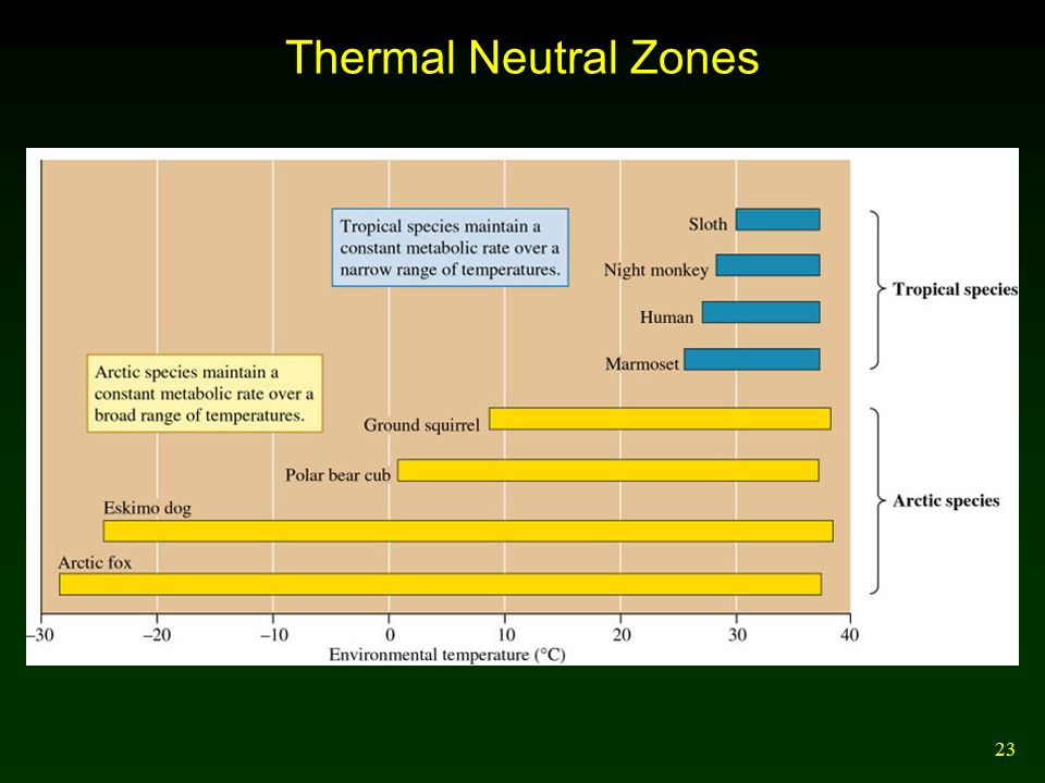 23 Thermal Neutral Zones