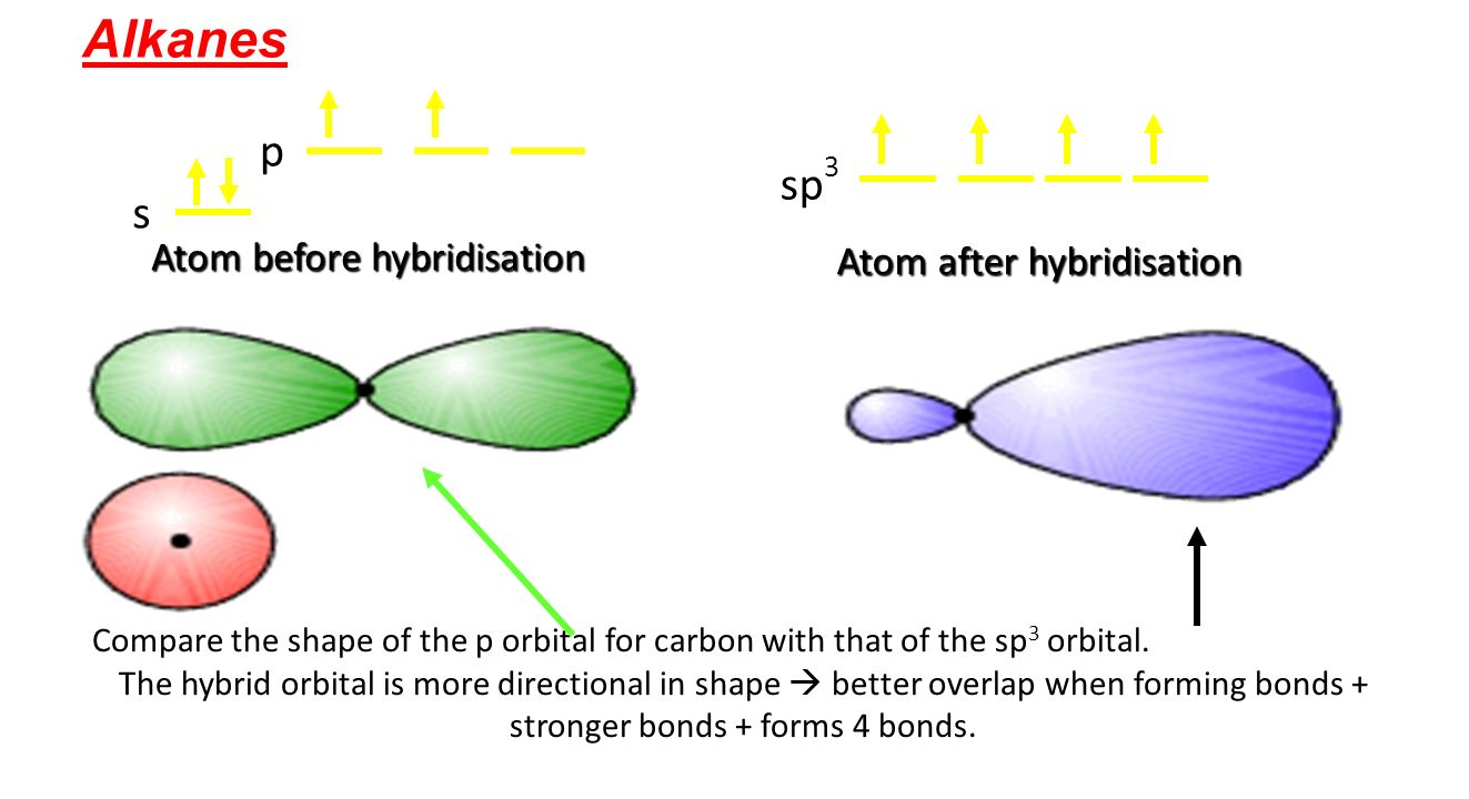 inorganic chemistry - Why does sp hybridised orbital have more ...