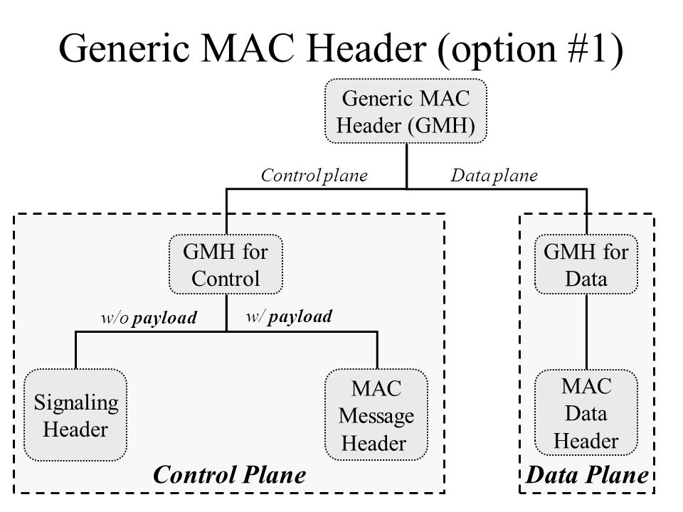Data PlaneControl Plane Generic MAC Header (option #1) Generic MAC Header (GMH) GMH for Control GMH for Data Signaling Header MAC Message Header Data planeControl plane MAC Data Header w/o payload w/ payload