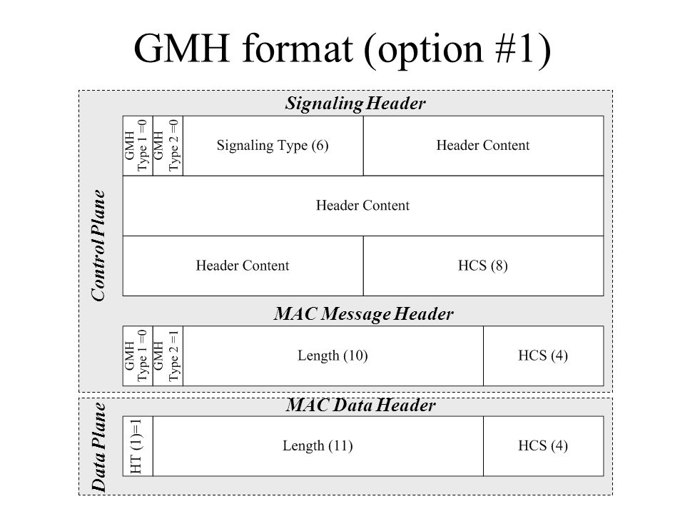GMH format (option #1) Control Plane MAC Data Header MAC Message Header Signaling Header Data Plane
