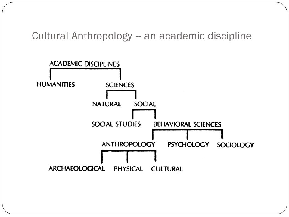 academic discipline definition
