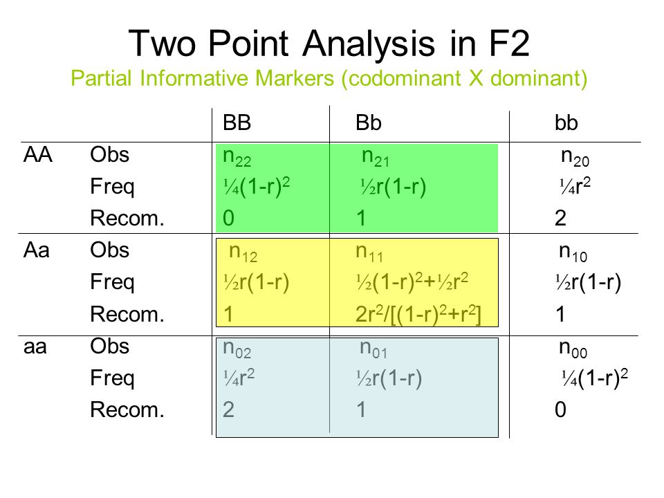 Computational Issues On Statistical Genetics Develop Methods Data Collection Analyze Data Write Reports Papers Research Questions Review The Literature Ppt Download