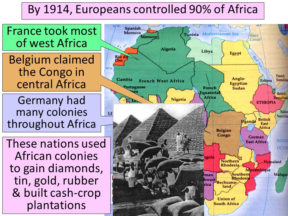 By 1914, Europeans controlled 90% of Africa France took most of west Africa Belgium claimed the Congo in central Africa Germany had many colonies throughout Africa These nations used African colonies to gain diamonds, tin, gold, rubber & built cash-crop plantations