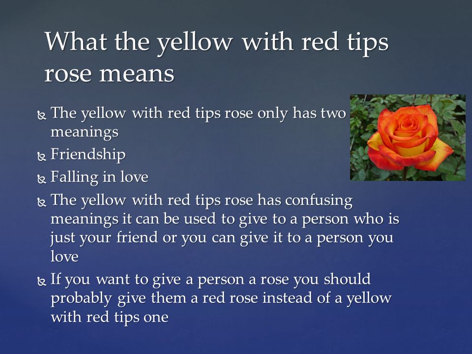 What the different colors of a rose mean By: Veronica Zacarias. - ppt  download