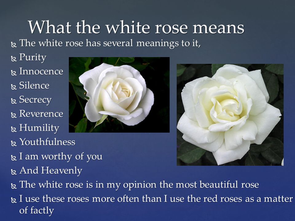 What the different colors of a rose mean By: Veronica Zacarias. - ppt  download