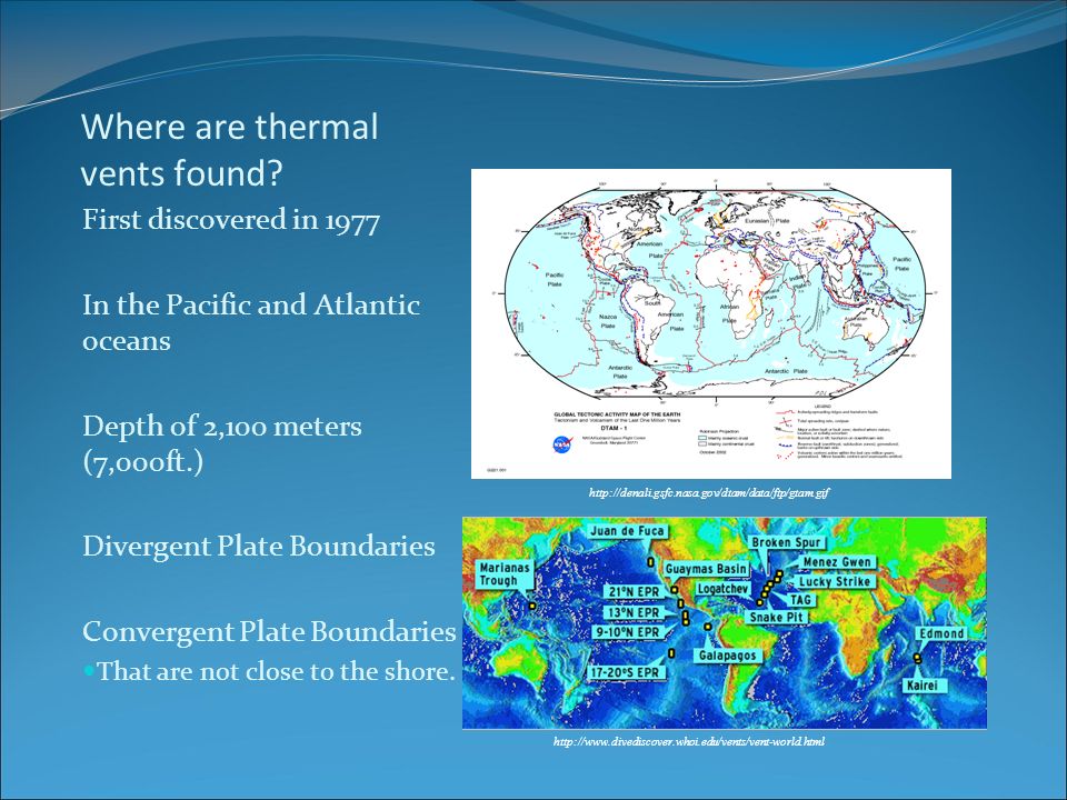 Where are thermal vents found.