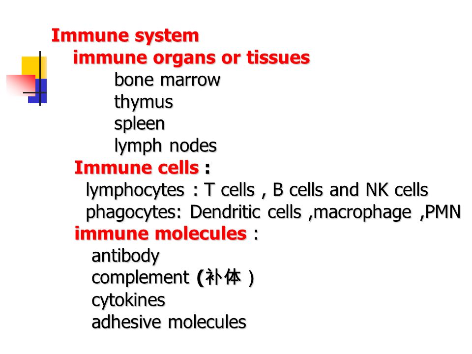 Chapter III The tissues and organs of immune system. - ppt download