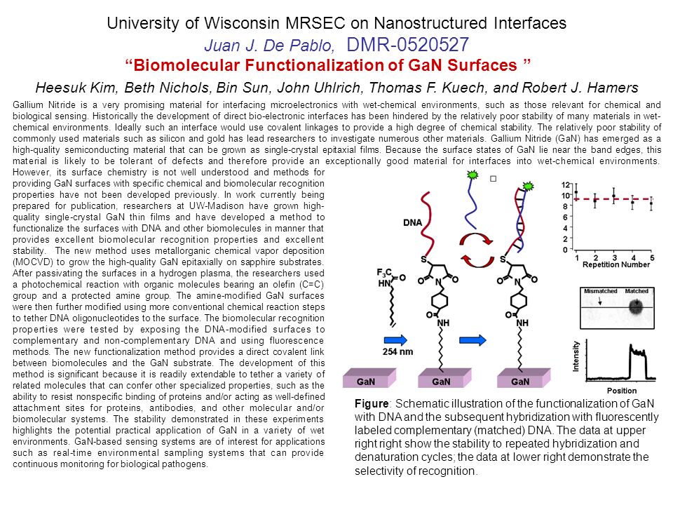 University of Wisconsin MRSEC on Nanostructured Interfaces Juan J.