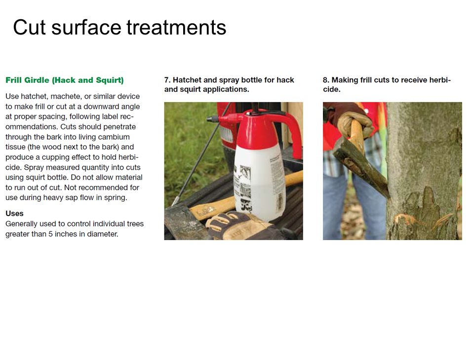 Cut surface treatments