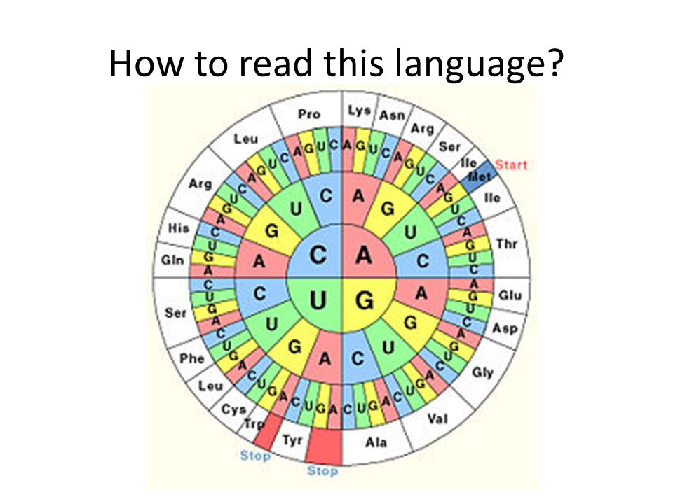 How to read this language