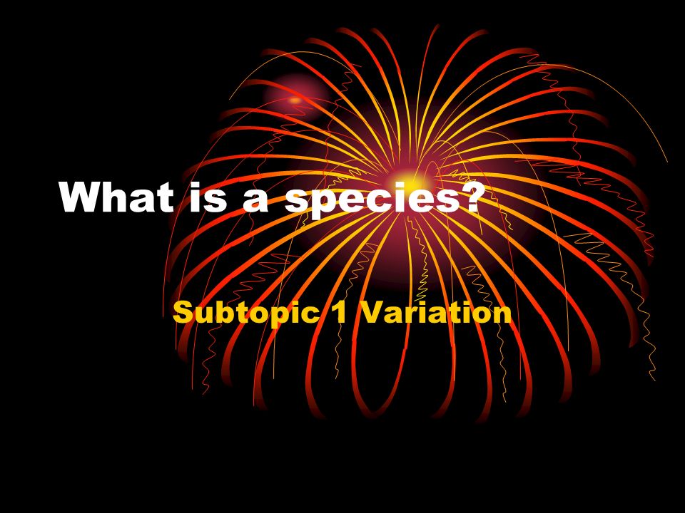 What is a species Subtopic 1 Variation