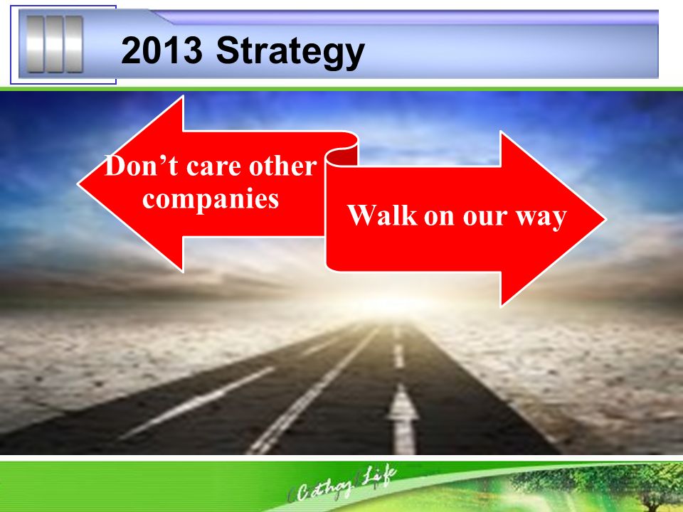 2013 Strategy Don’t care other companies Walk on our way