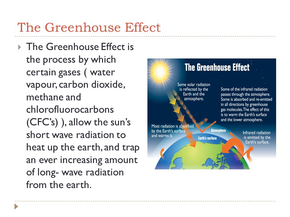 Global Warming The Greenhouse Effect Carbon Sources and Sinks QUICK NOTE:  FOUND AN AMAZING, SIMPLE, PRESENTATION ON GLOBAL WARMING AND COULD NOT KEEP  AWAY. - ppt download