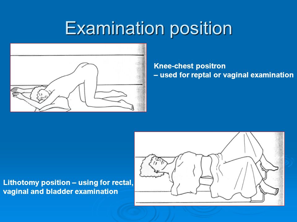 Cervical Position In Vaginal Examination
