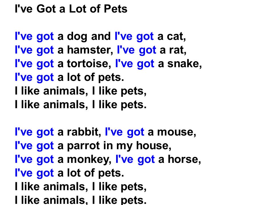 I ve Got a Lot of Pets I ve got a dog and I ve got a cat, I ve got a hamster, I ve got a rat, I ve got a tortoise, I ve got a snake, I ve got a lot of pets.