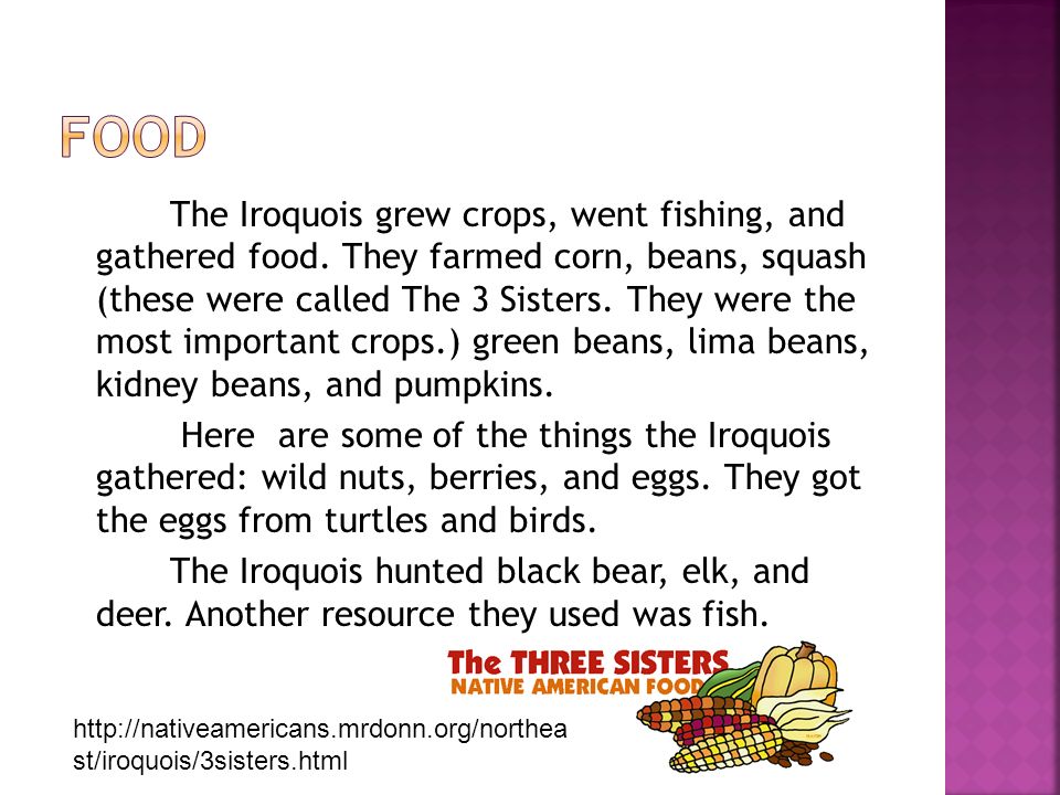 The Iroquois grew crops, went fishing, and gathered food.