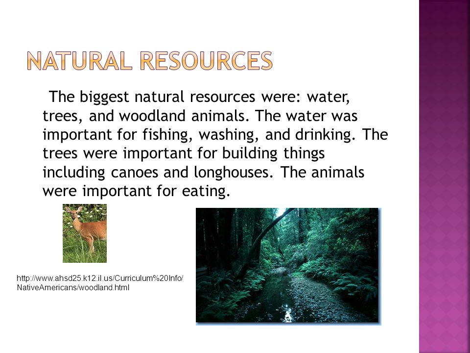 The biggest natural resources were: water, trees, and woodland animals.