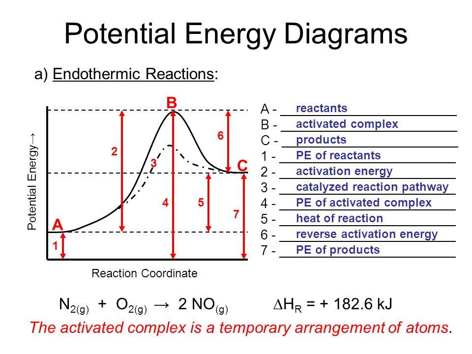 Image result for endothermic potential energy diagram