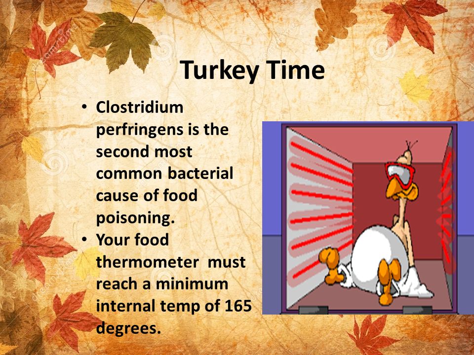 Fall safety brief 2015 mcicom safety topics of discussion flu season
