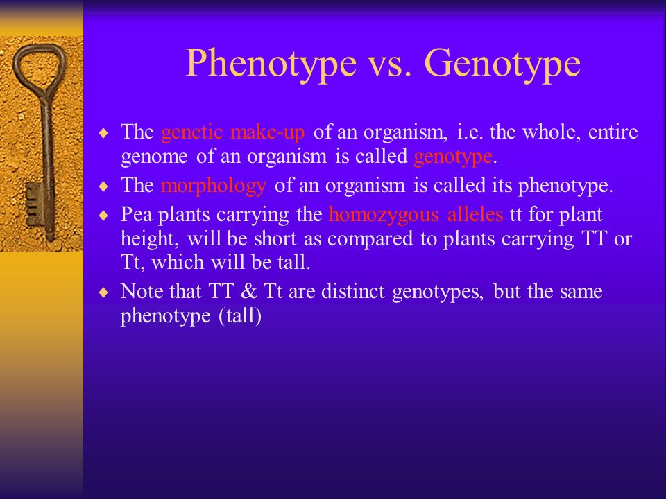 The Genetic Makeup Of An Organism Extraordinary The Entire Genetic Makeup Of An Organism Is Called Its Hairstlyorg The Genetic Makeup Of An Organism Extraordinary The Entire Genetic Makeup Of An Organism Is Called Its Hairstlyorg