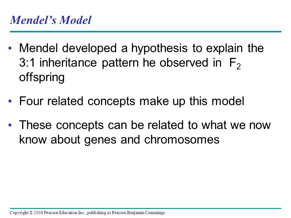Mendel’s Model Mendel developed a hypothesis to explain the 3:1 inheritance pattern he observed in F 2 offspring Four related concepts make up this model These concepts can be related to what we now know about genes and chromosomes Copyright © 2008 Pearson Education Inc., publishing as Pearson Benjamin Cummings