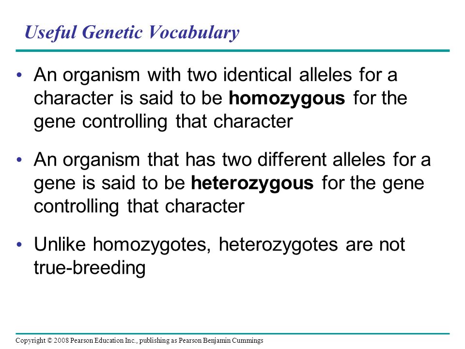 Useful Genetic Vocabulary An organism with two identical alleles for a character is said to be homozygous for the gene controlling that character An organism that has two different alleles for a gene is said to be heterozygous for the gene controlling that character Unlike homozygotes, heterozygotes are not true-breeding Copyright © 2008 Pearson Education Inc., publishing as Pearson Benjamin Cummings