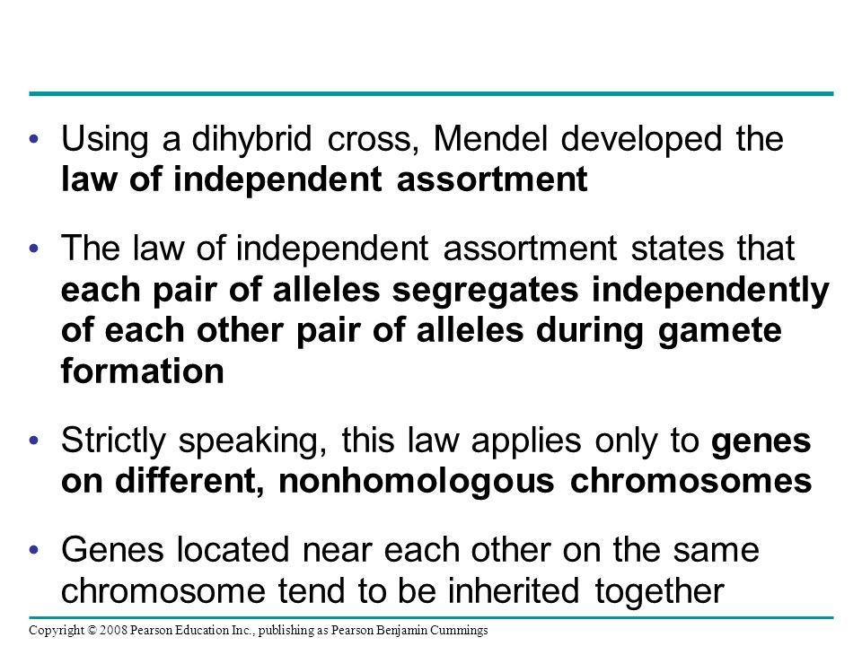 Using a dihybrid cross, Mendel developed the law of independent assortment The law of independent assortment states that each pair of alleles segregates independently of each other pair of alleles during gamete formation Strictly speaking, this law applies only to genes on different, nonhomologous chromosomes Genes located near each other on the same chromosome tend to be inherited together Copyright © 2008 Pearson Education Inc., publishing as Pearson Benjamin Cummings