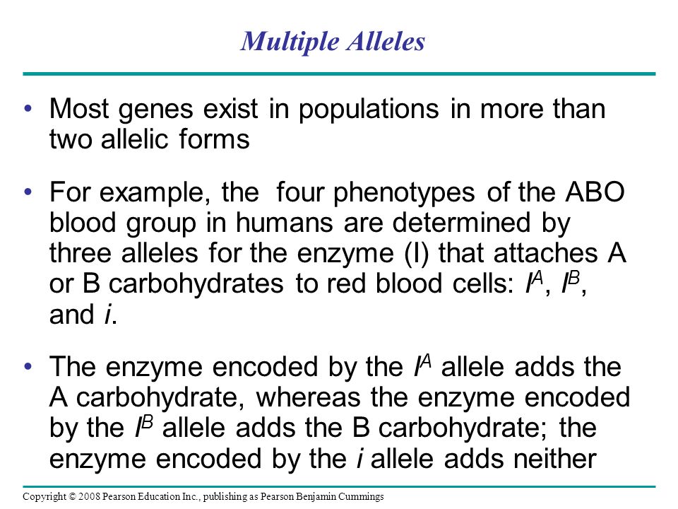 Multiple Alleles Most genes exist in populations in more than two allelic forms For example, the four phenotypes of the ABO blood group in humans are determined by three alleles for the enzyme (I) that attaches A or B carbohydrates to red blood cells: I A, I B, and i.
