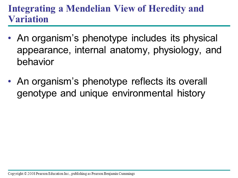 Integrating a Mendelian View of Heredity and Variation An organism’s phenotype includes its physical appearance, internal anatomy, physiology, and behavior An organism’s phenotype reflects its overall genotype and unique environmental history Copyright © 2008 Pearson Education Inc., publishing as Pearson Benjamin Cummings